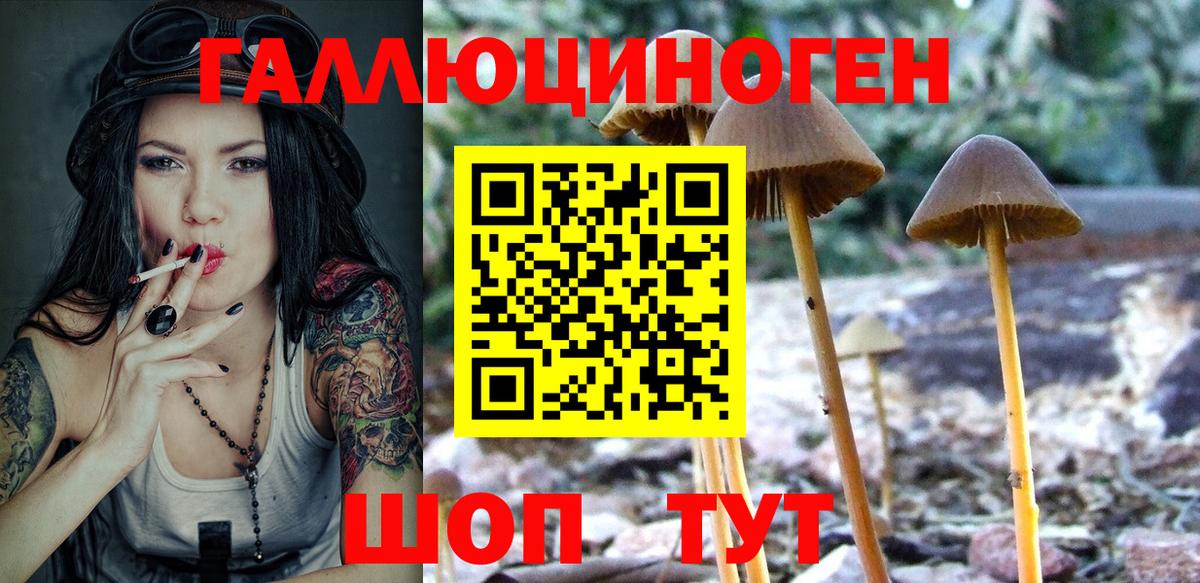 Галлюциногенные грибы Psilocybine cubensis Сердобск