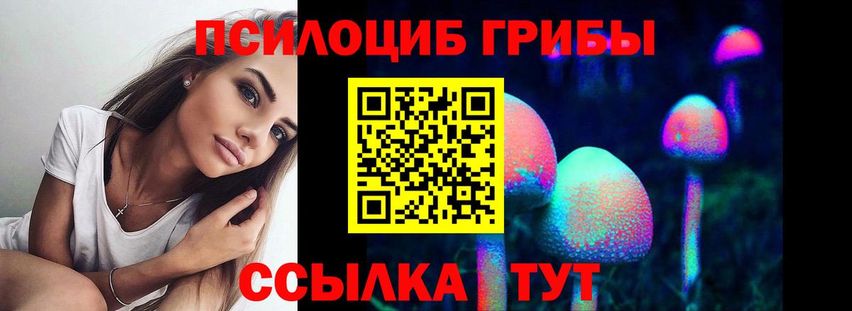 Галлюциногенные грибы мицелий  Вход с VPN  Сердобск 